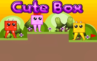 New Cute Box Plus